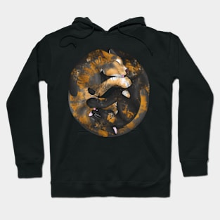 Yin-Yang Cats: Chimera Hoodie